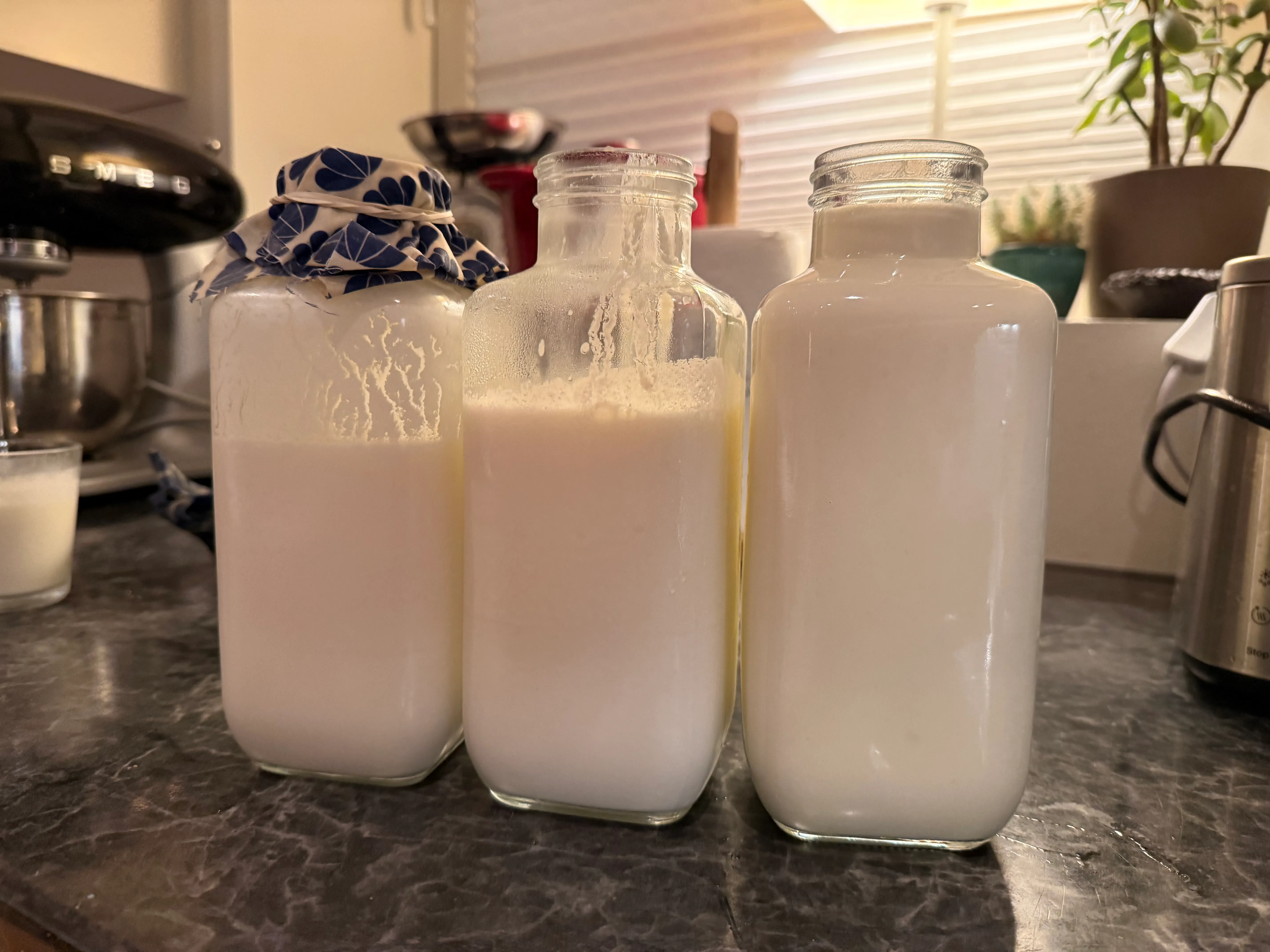 Ferdig kefir linet i flasker